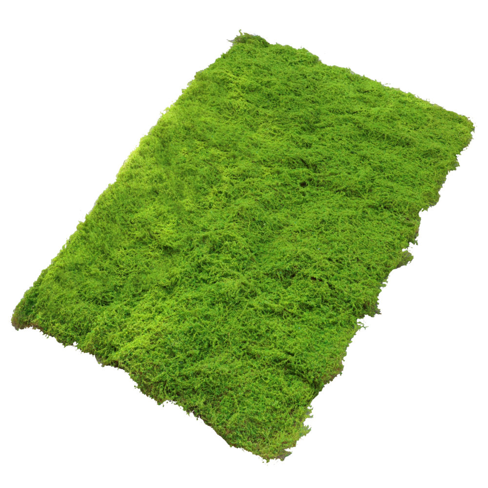 حصيرة عشب صناعي من الطحلب الصن - مراجعة Preserved Moss Sheet وسعره